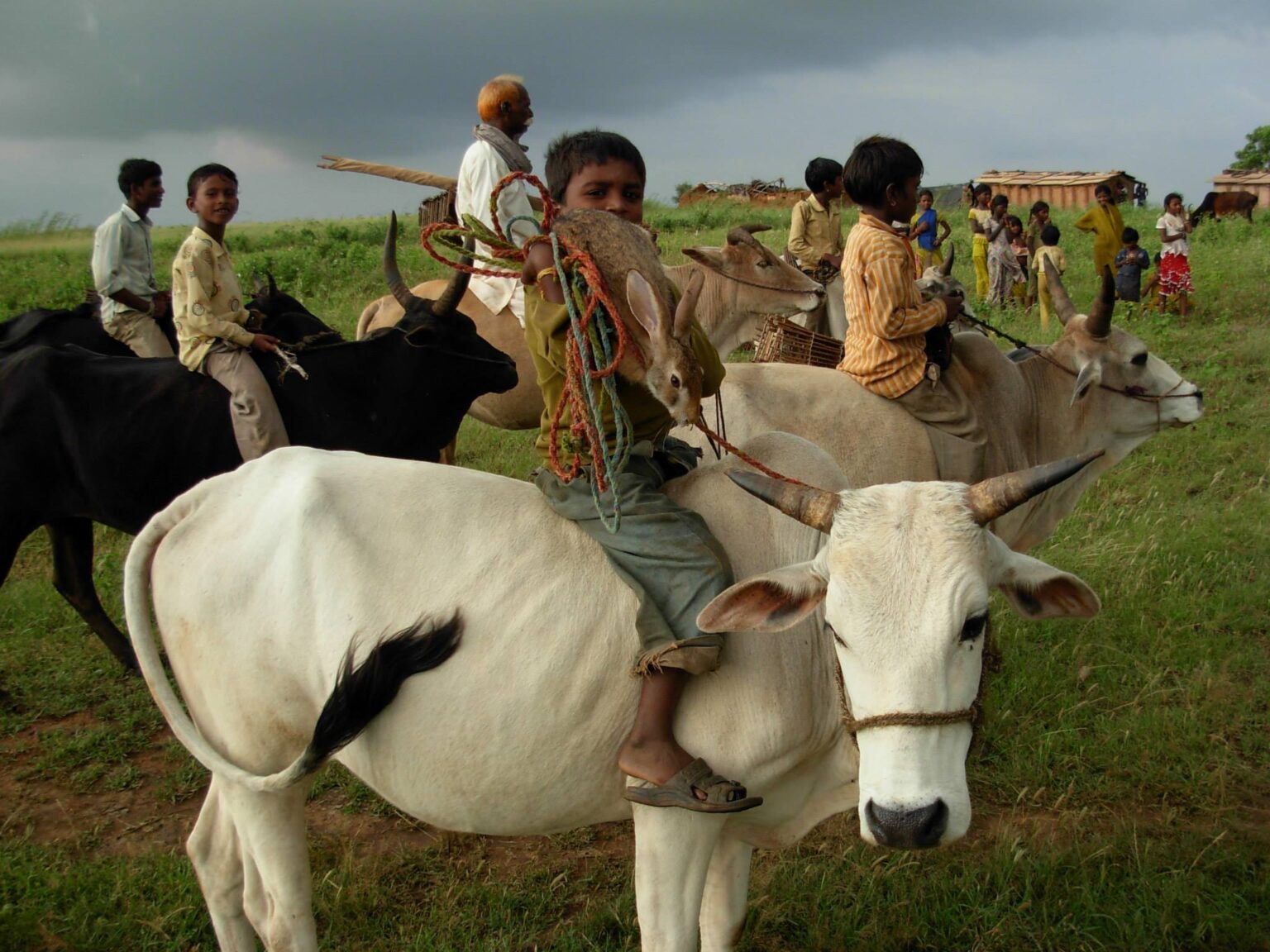 Livelihoods to traditional hunting communities Conservation times